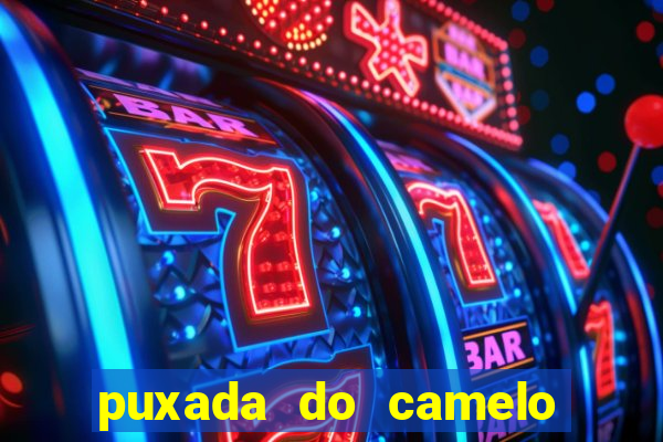 puxada do camelo jogo do bicho